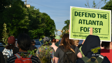 Forest Defenders